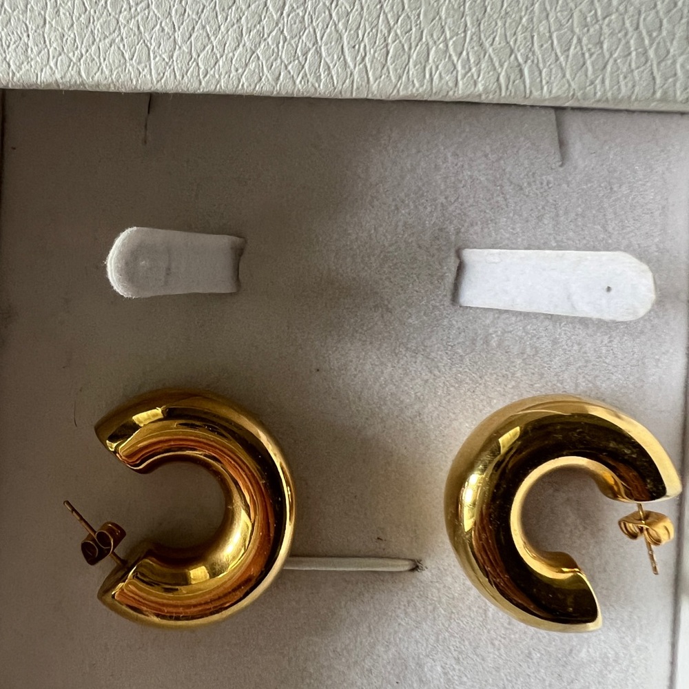 Hoop Hearings - Picture 3 of 4